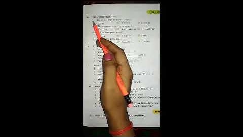 Class 6 sub-English Ch 8-Burno goes exploring