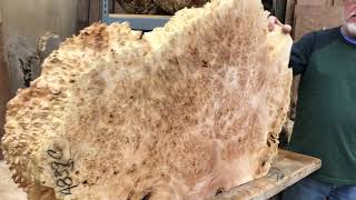 Live Edge Western Big Leaf Maple Burl