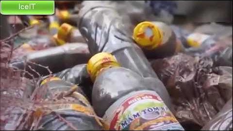 4Clip hay  Mắm tôm ngon là phải như thế này!  2016