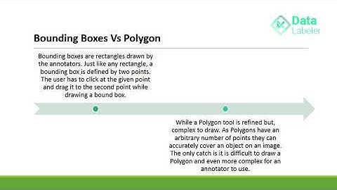 Bounding Box Vs Polygon: The Next Level of Label Engineering