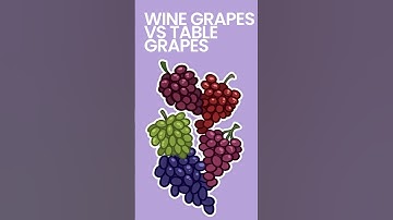 Wine Grapes vs Table Grapes #shorts