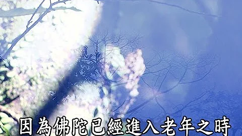 【证严法师菩提心要】20160130 - 成佛因缘 - 法华经方便品导读(下) - 天天要闻
