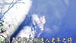 【證嚴法師菩提心要】20160130 - 成佛因緣 - 法華經方便品導讀(下)
