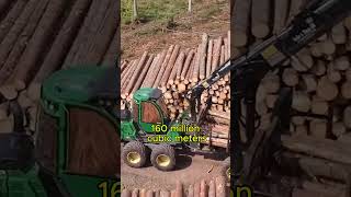 The Countries That Produce The Most Wood In The World 