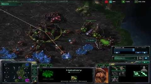 SC2 Beta 1v1 - Ordaehn ZvT #11