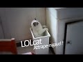 Gato Teto