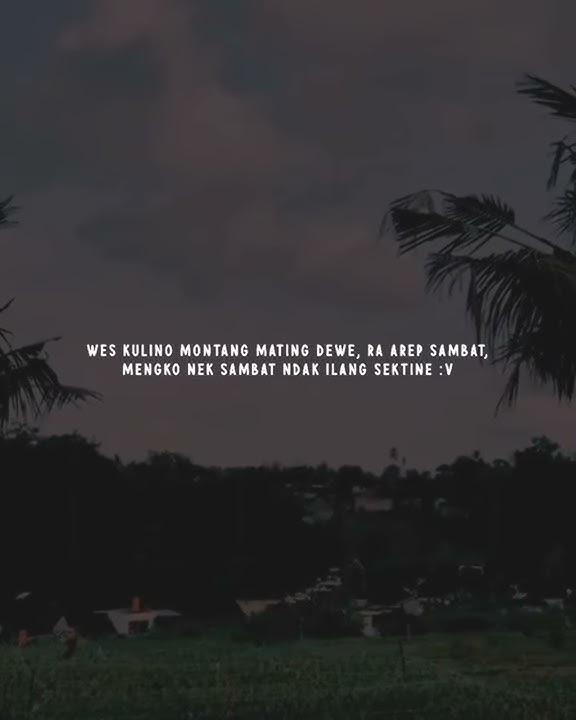 Story Wa - Lagu dj(kata2 Jawa)