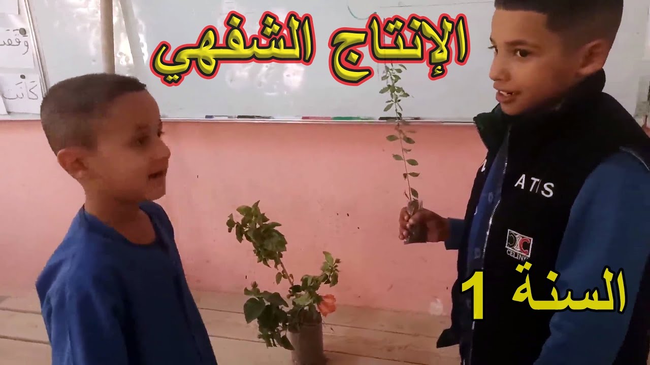 الإنتاج الشفهي في الحقل السنة الأولى ابتدائي