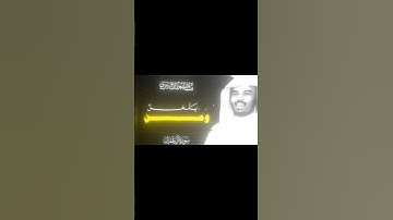 لا يتخذ المؤمنون سوره آل عمران بصوت الشيخ ياسر الدوسري #قران_كريم #اكسبلور #محمد_ﷺ_نبيي #لايك