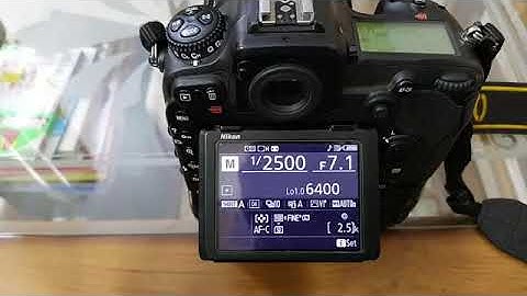 bird in flight camera settings Nikon D500 tips and tricks for bird in flight settings for beginners
