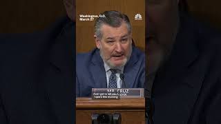 Cruz warns Army will have direct responsibility for future crashes if policy doesn't change