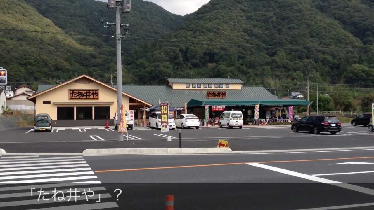 たね井や Youtube たね井や Youtube