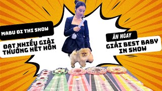 Ngày đầu tiên tham dự Dogshow và đoạt giải Best Baby In Show của bé Mabu do VKA tổ chức | Vlog #23