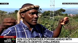 KZN co-operatives forging ahead with projects despite challenges
