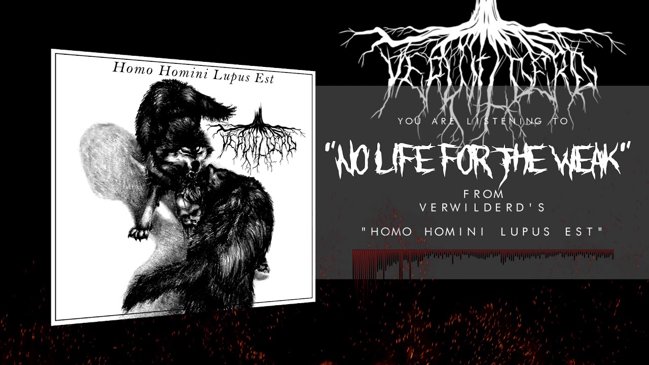 VERWILDERD Stream Debut EP ‘Homo Homini Lupus Estʼ In Entirety