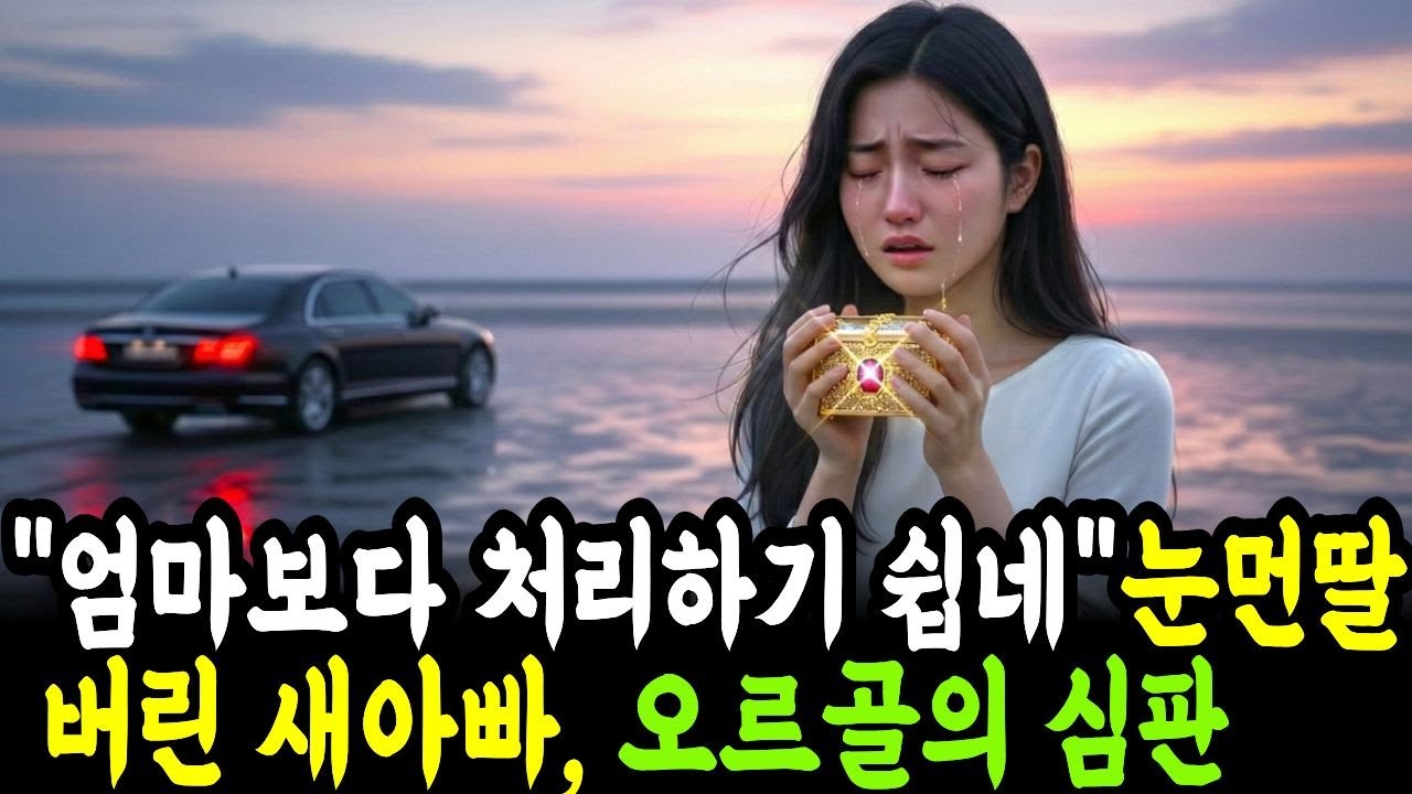 앞 못 보고 말 못하는 딸을 갯벌에 버린 새아빠의 완벽한 범죄, 오르골이 준비한 기적 같은 복수ㅣ인생사연ㅣ노후사연ㅣ시니어 사연ㅣ시니어 오디오북ㅣ사연라디오ㅣ