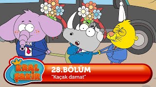 Kral Şakir 28 Bölüm - Kaçak Damat