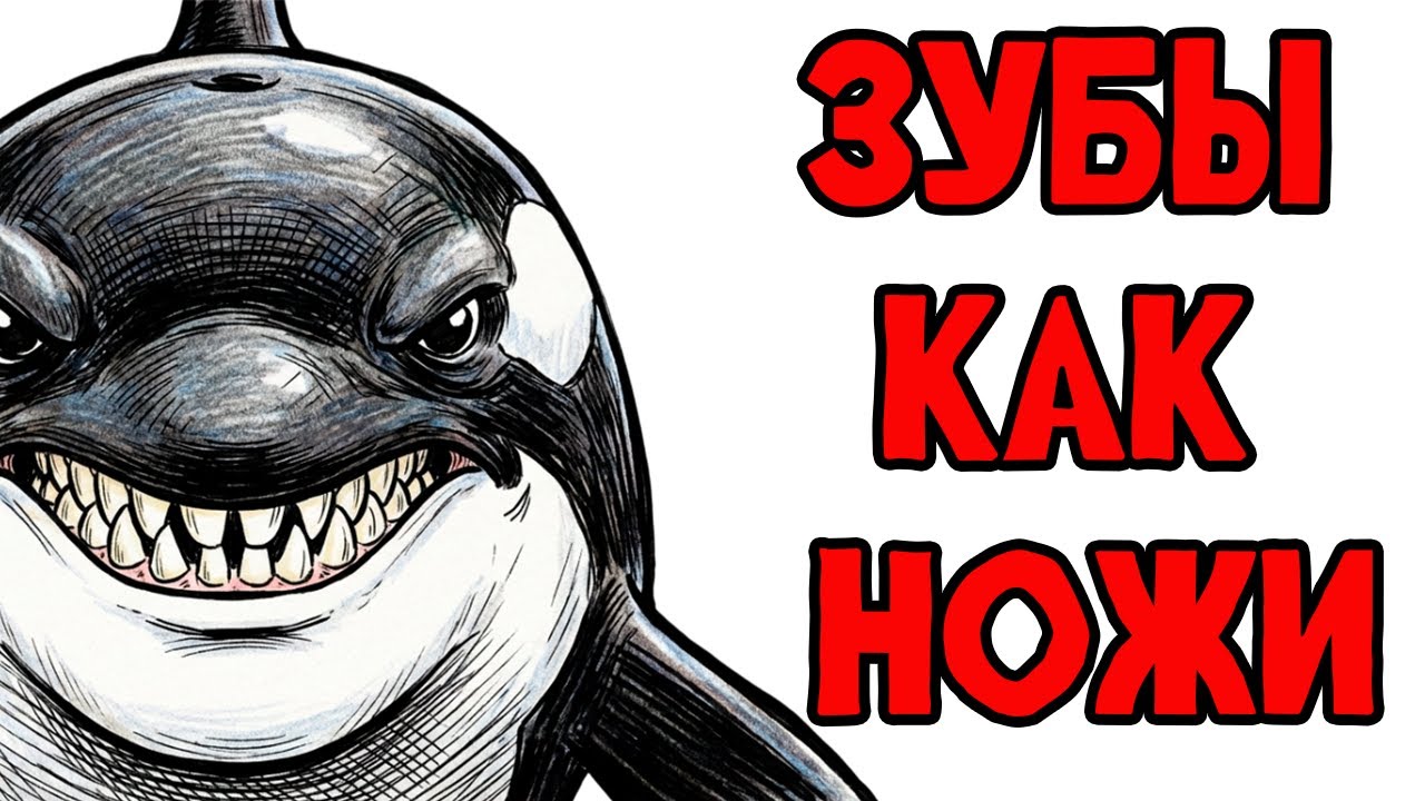 Ты - КОСАТКА (И ЭТО ВСЯ ТВОЯ ЖИЗНЬ)