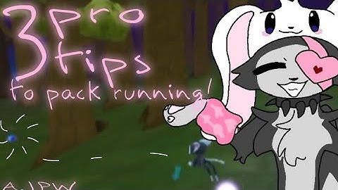 3 *PRO TIPS* To Pack Running in AJPW!