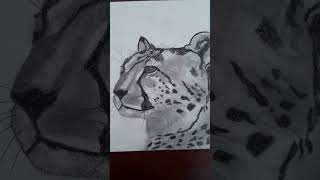 Çita KARAKALEM