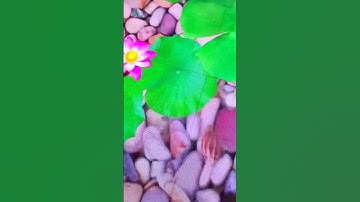 LED floor tile interactive screen. #ledscreen #leddisplay #led