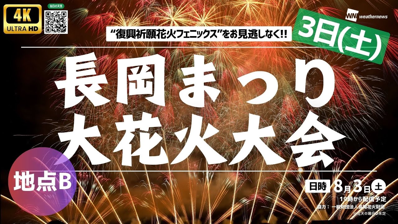 長岡花火 チケット 2枚 8月3日(土) B会場 南エリア席 長岡インター側 