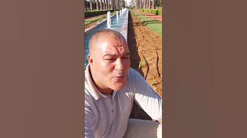 حلاوتو ف كلامو سرابة المحبوب الفنان محمد أفتيس 
