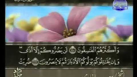 سورة آل عمران من الآية 101  الى الآية  116