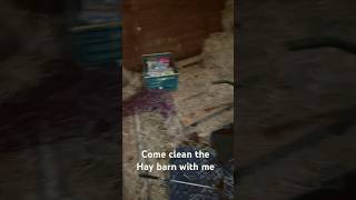 Come clean the hay barn with me #christmas #cleaning #fypシ #viral #trends #satisfying #transition