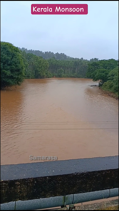 Kerala Monsoon l July #youtubeshorts #samarasa