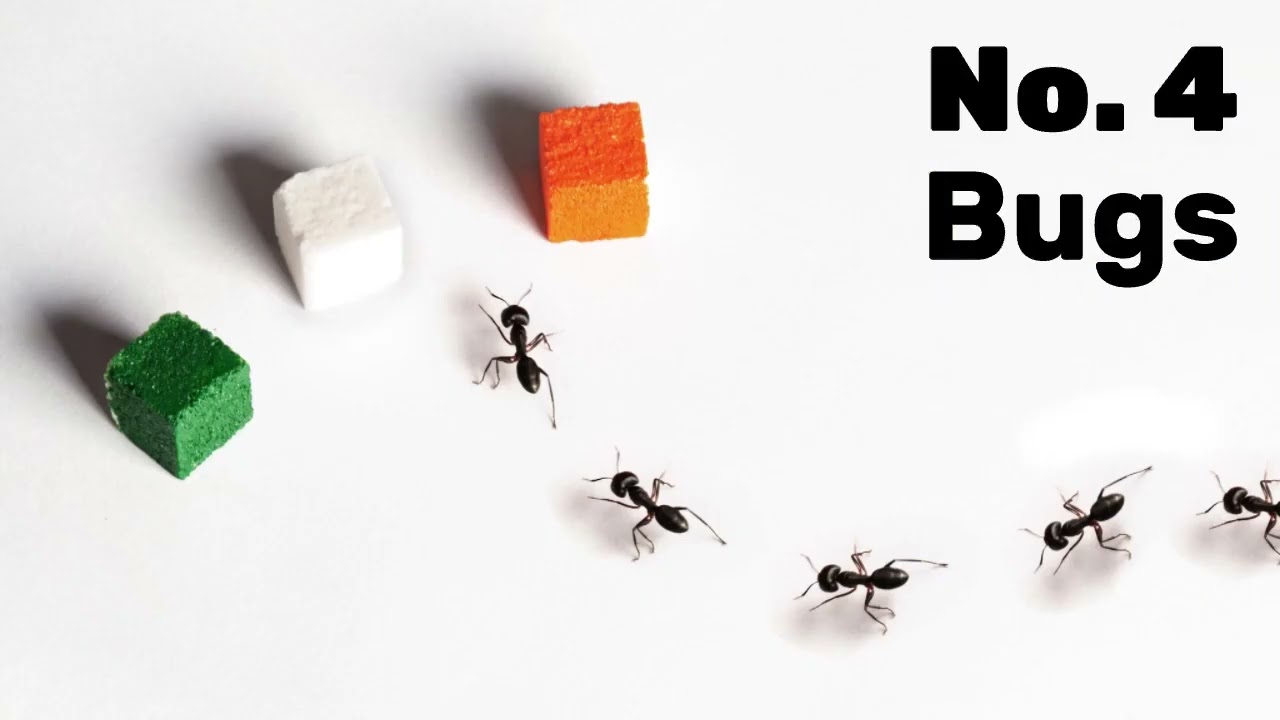 10 Things Home Buyers Hate