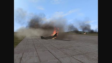 IL2 effects