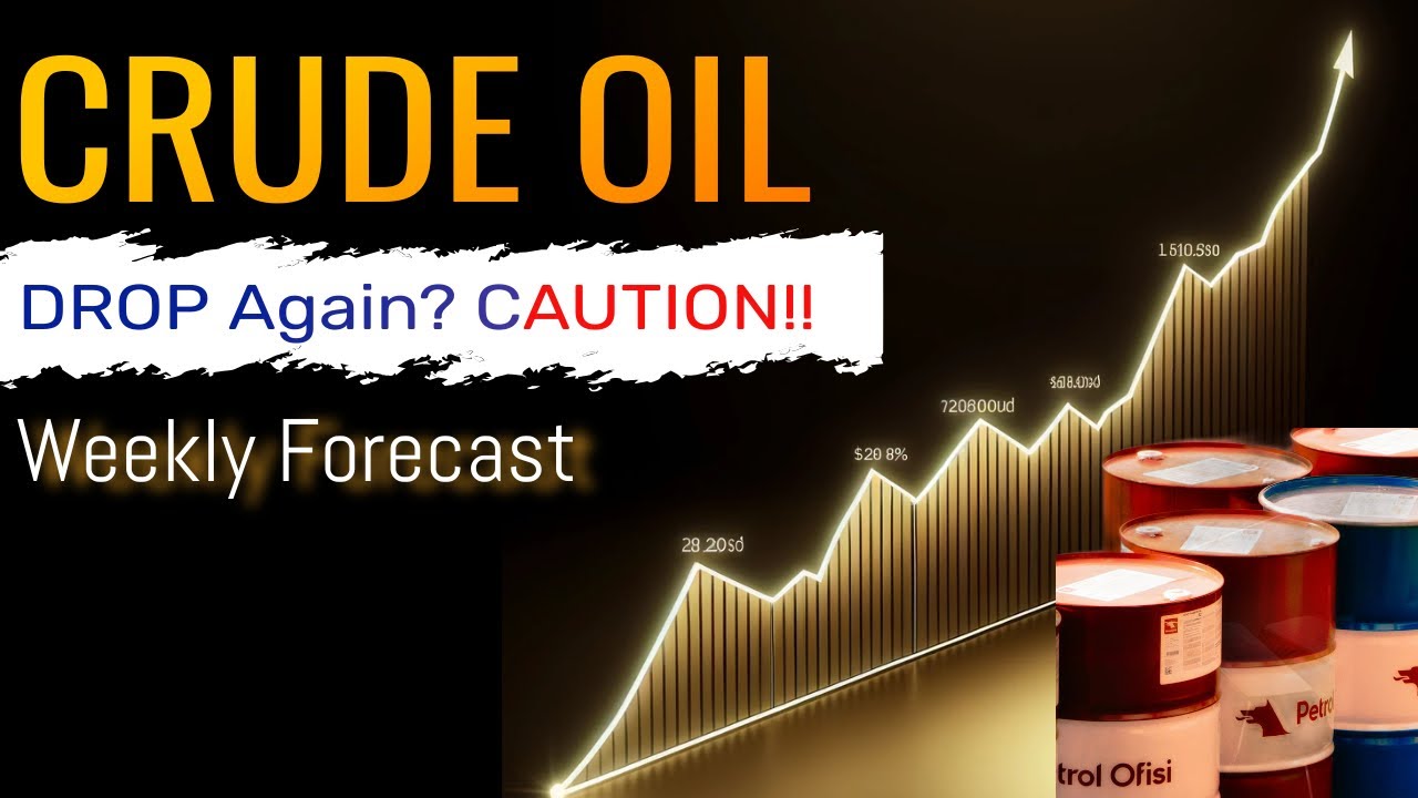 Will Crude Oil WTI Crash More Next Week or Crude has Bottomed? Crude ...