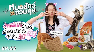 7ข้อควรรู้ ทาสแมวมือใหม่เลี้ยงแมวยังไงให้ปัง | หมอสัตว์ชวนคุย EP 21