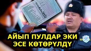 АЙДООЧУЛАР ЭРЕЖЕ БУЗСА, АЙДООЧУЛУК КҮБӨЛҮГҮНӨН АЖЫРАЙТ...