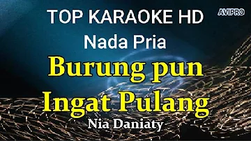 Burungpun Ingat Pulang-Nia Daniaty/Nada Pria/Top karaoke HD