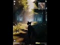 Where Next?.. Game Test Sample (V4)... Would You Play This?..  #warriorcats #cats #Roblox