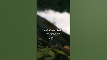 من سورة غافر | القارئ مشاري راشد