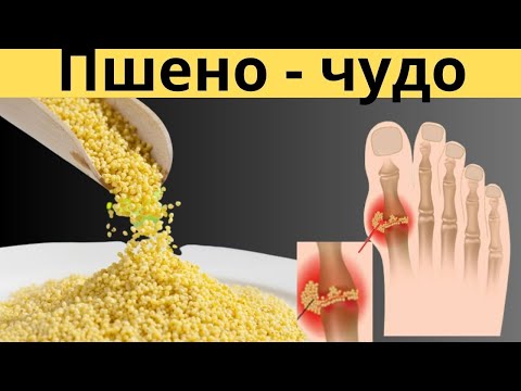 Зерна возрождения! Всего одна ложка пшена и нет болезней!