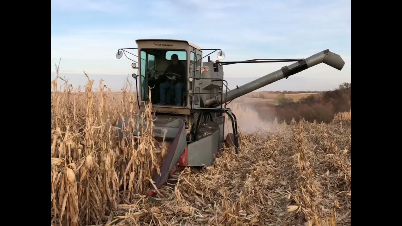 Gleaner K combine 20 year barn find YouTube