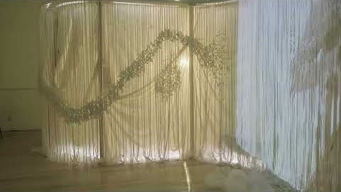 Sabzeh (Sprouts) 2025 Immersive Installation - Parisa Sabet, Laura Friedmann, & contributing artists