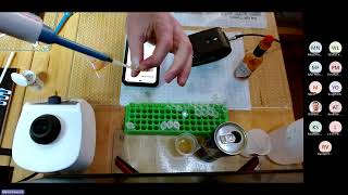 Carbon vs Gold vs Platinum Screen Printed Electrodes | Cost, Performance & Real‑World Biosensors