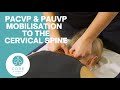 Joint Mobilisation Techniques to the Cervical Spine using PAUVP and PACVP