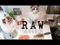 RAW Cat food really easy Chicken recipe| Ragdolls Pixie and Bluebell