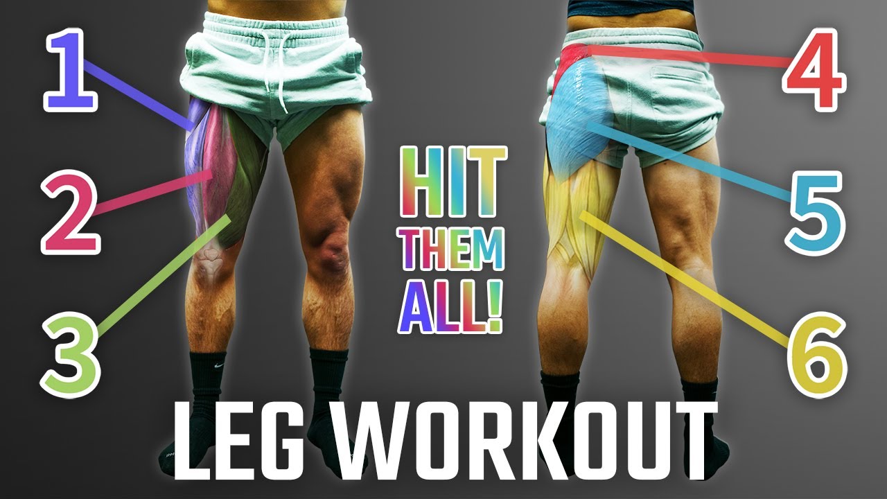 ⁣The Best Science-Based Leg Day For Growth (Quads/Glutes/Hamstrings) | PUSH PULL LEGS SERIES