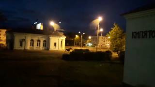 лось бегает по ночному городу на вокзале