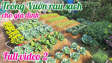Full video 2 - Cách trồng Vườn rau sạch cho gia đình