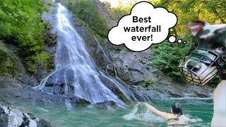 Dogs Explore Magical Waterfall - An Adventure Vlog by The Way 51 views 2 years ago 9 minutes, 12 seconds