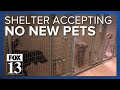 Tooele residents look for alternatives after animal shelter stops accepting surrendered pets