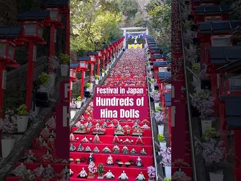 Katsuura Big Hina Matsuri #chiba #japan